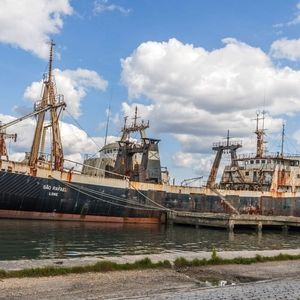 Meet your Posher, Carl